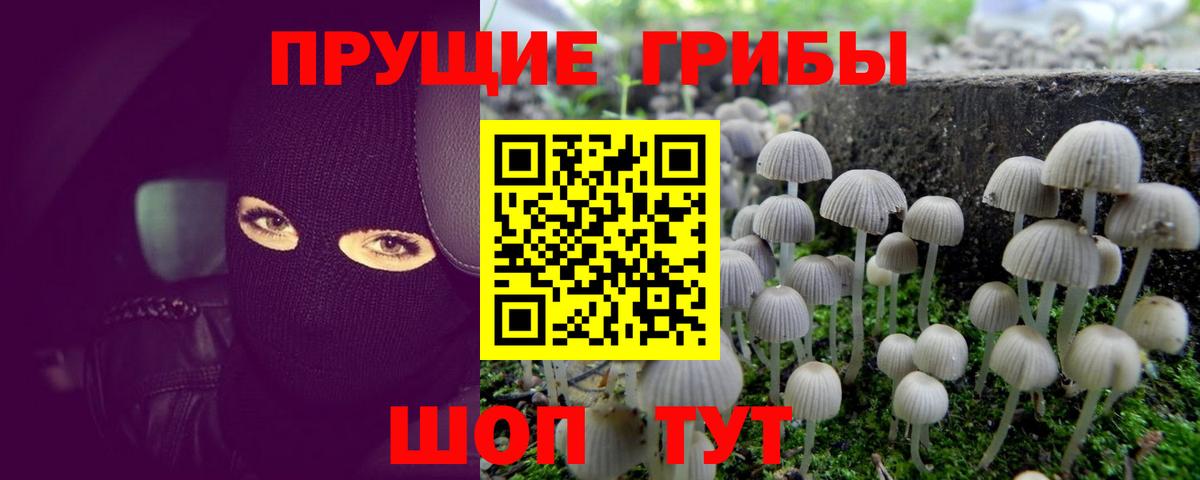 Галлюциногенные грибы Psilocybe  купить наркотики цена  Армавир  Вход с VPN 