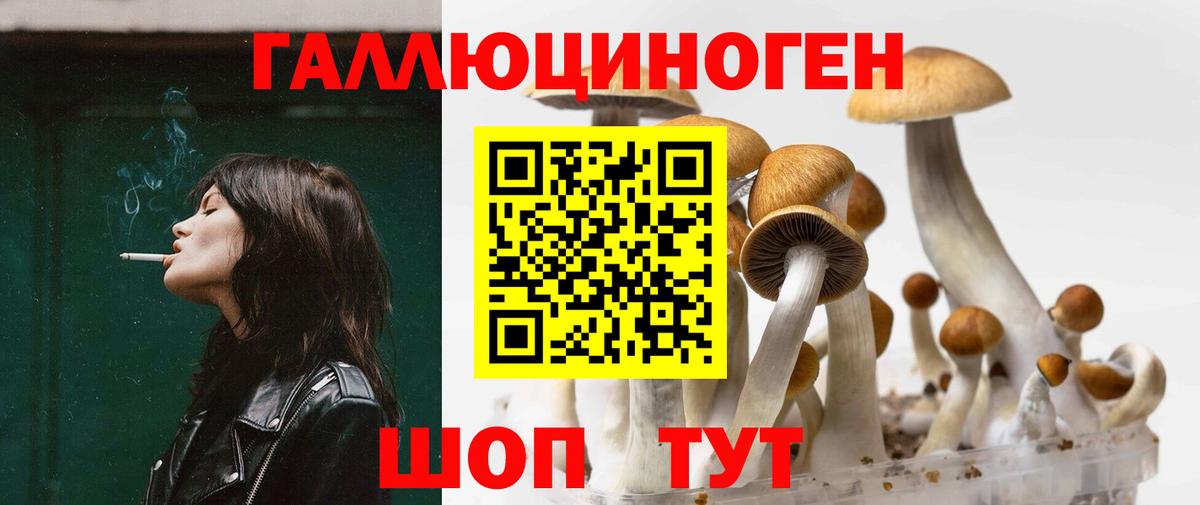 Псилоцибиновые грибы GOLDEN TEACHER Армавир